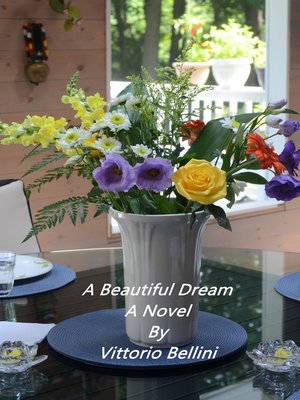 cover image of A Beautiful Dream